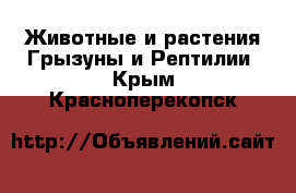 Животные и растения Грызуны и Рептилии. Крым,Красноперекопск